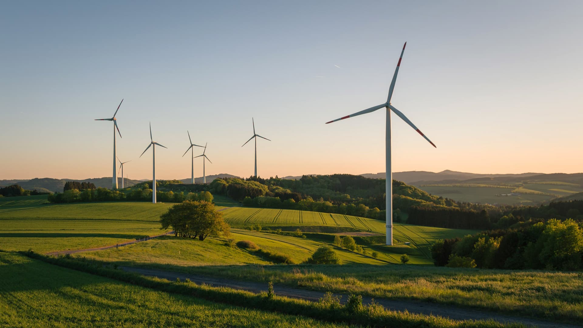 Coñeza todas as vantaxes das enerxías renovables